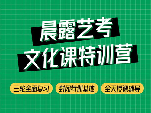 濟(jì)南晨露學(xué)校淺談山東藝考文化課不能忽視的問(wèn)題